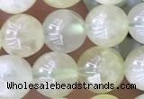 CSJ311 15.5 inches 6mm round serpentine new jade beads