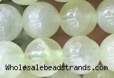 CSJ312 15.5 inches 7mm round serpentine new jade beads