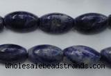 CSO359 15.5 inches 11*18mm trihedron natural sodalite beads