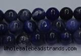 CSO611 15.5 inches 6mm round sodalite gemstone beads wholesale