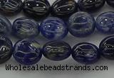 CSO670 15.5 inches 10mm flat round sodalite gemstone beads