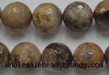 CSS100 15.5 inches 16mm faceted round natural sunstone beads wholesale