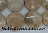 CSS239 15.5 inches 20mm flat round natural sunstone beads