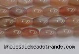 CSS265 15.5 inches 5*8mm rice sunstone beads wholesale