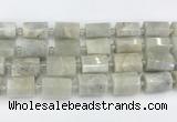 CTB876 13*25mm - 14*19mm faceted tube moonstone beads