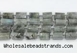 CTB878 13*25mm - 14*19mm faceted tube labradorite beads