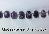 CTD2144 Top drilled 15*25mm - 18*25mm freeform dogtooth amethyst beads