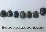 CTD2151 Top drilled 15*25mm - 18*25mm freeform labradorite beads