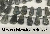 CTD2275 Top drilled 16*28mm - 20*30mm faceted freeform labradorite beads