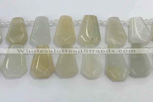 CTD2361 Top drilled 16*18mm - 20*30mm faceted freeform moonstone beads