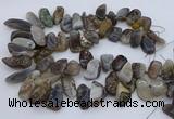 CTD3525 Top drilled 12*20mm - 15*40mm freeform botswana agate beads