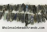 CTD3739 Top drilled 8*20mm - 10*50mm sticks labradorite beads