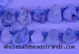 CTD3859 Top drilled 6*8mm - 10*12mm freeform larimar beads