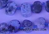 CTD3889 Top drilled 12*16mm - 13*17mm freeform larimar beads