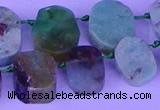 CTD3895 Top drilled 12*16mm - 13*18mm freeform Australia chrysoprase beads