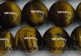 CTE1223 15.5 inches 16mm round AB+ grade yellow tiger eye beads