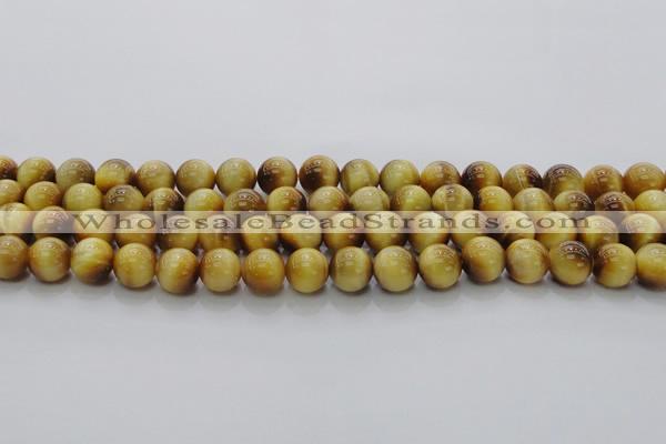 CTE1403 15.5 inches 10mm round golden tiger eye beads wholesale