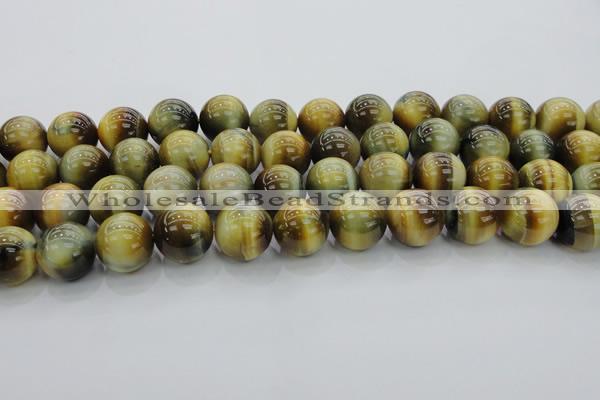 CTE1446 15.5 inches 16mm round golden & blue tiger eye beads