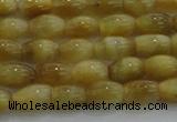 CTE1514 15.5 inches 5*8mm rice golden tiger eye beads wholesale