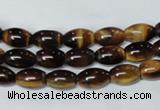 CTE158 15.5 inches 8*12mm rice yellow tiger eye gemstone beads