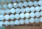 CTG1049 15.5 inches 2mm faceted round tiny amazonite beads