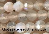 CTG1207 15.5 inches 4mm faceted round tiny rainbow moonstone beads