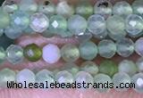 CTG1414 15.5 inches 2mm faceted round Australia chrysoprase beads