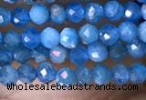 CTG1418 15.5 inches 2mm faceted round apatite beads wholesale