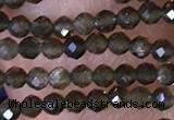 CTG1461 15.5 inches 2mm faceted round golden obsidian beads