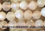 CTG1544 15.5 inches 4mm faceted round moonstone beads wholesale