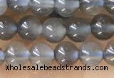 CTG1582 15.5 inches 4mm round grey moonstone beads wholesale