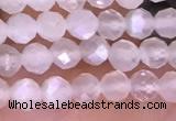 CTG1601 15.5 inches 3mm faceted round tiny white moonstone beads