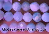 CTG1626 15.5 inches 3.5mm faceted round tiny amazonite beads