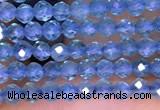 CTG1661 15.5 inches 2mm faceted round tiny apatite beads