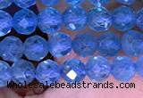 CTG1663 15.5 inches 3.5mm faceted round tiny apatite beads