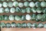 CTG2008 15 inches 2mm,3mm Qinghai jade beads