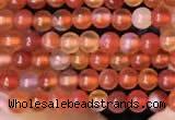 CTG2056 15 inches 2mm,3mm red agate gemstone beads