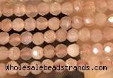 CTG2138 15 inches 2mm,3mm faceted round sunstone gemstone beads