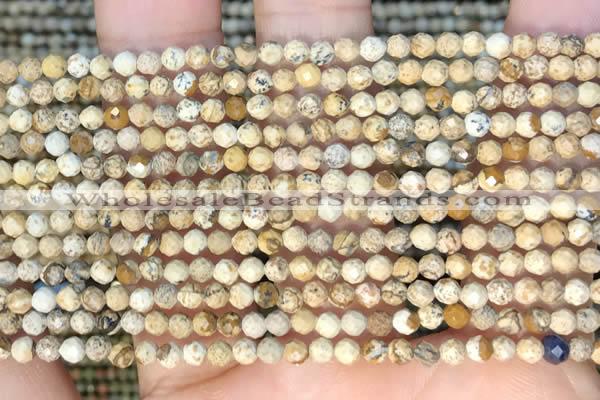 CTG2213 15 inches 2mm,3mm faceted round picture jasper beads