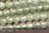 CTG2246 15 inches 2mm faceted round natural prehnite beads