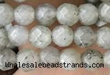 CTG3585 15.5 inches 4mm faceted round labradorite beads