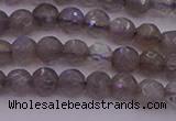 CTG509 15.5 inches 4mm faceted round tiny labradorite beads