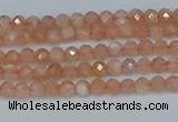 CTG607 15.5 inches 3mm faceted round peach moonstone beads