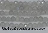 CTG613 15.5 inches 3mm faceted round labradorite beads