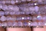 CTG702 15.5 inches 4mm faceted round tiny labradorite beads