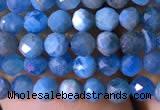 CTG761 15.5 inches 4mm faceted round tiny apatite gemstone beads