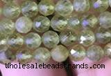 CTG814 15.5 inches 5mm faceted round tiny prehnite beads