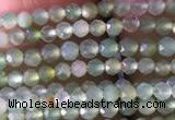 CTG821 15.5 inches 2mm faceted round tiny Australia chrysoprase beads