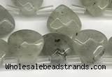 CTR612 Top drilled 10*10mm faceted briolette labradorite beads