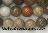 CWJ575 15.5 inches 6mm round wood jasper beads wholesale